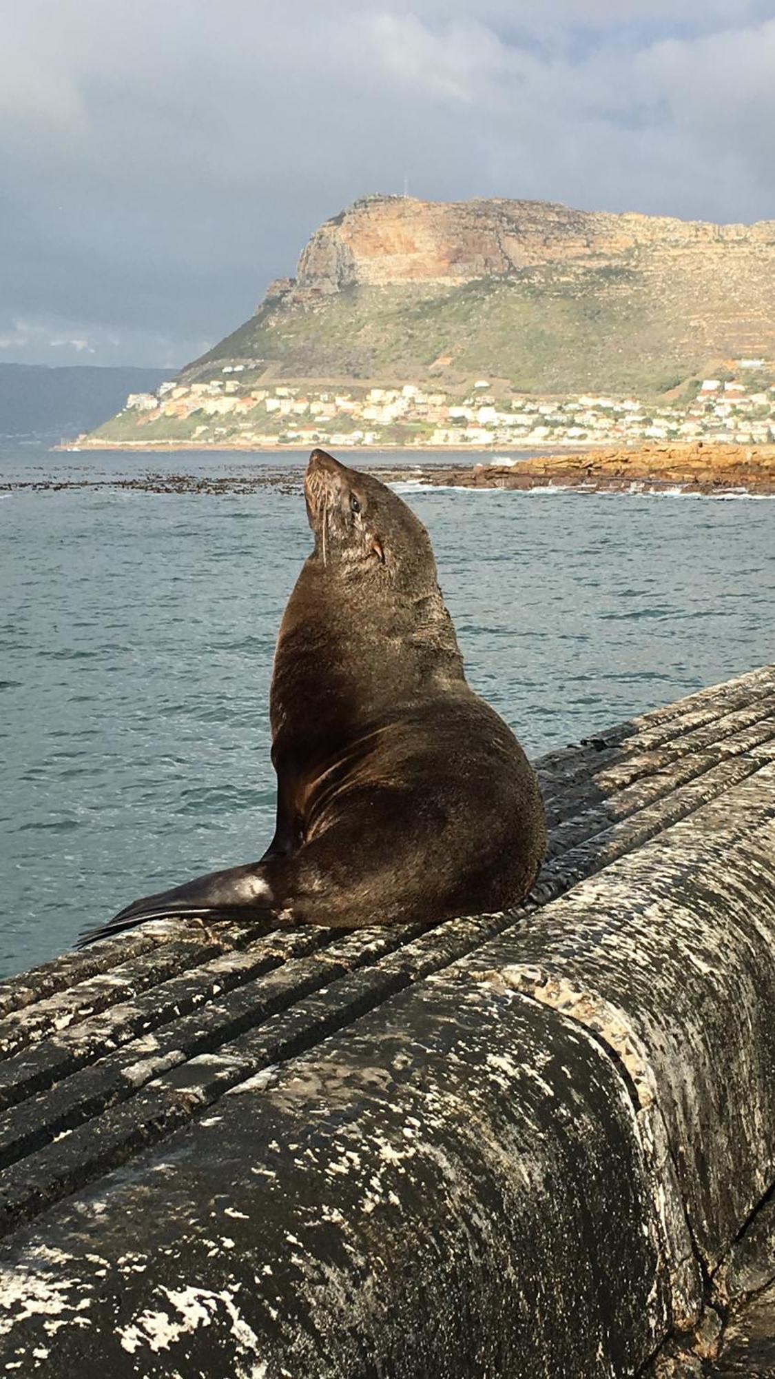 Bella Privatunterkunft Fish Hoek